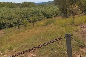 Terreno Agricolo