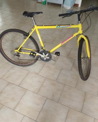 bici MTB da 26"