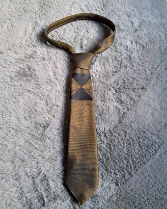 Cravatta elegante della Roberto London uomo