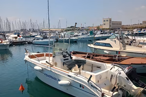 Mingolla Fisherman 20 Evinrude 90 CV Suzuki 15 CV 