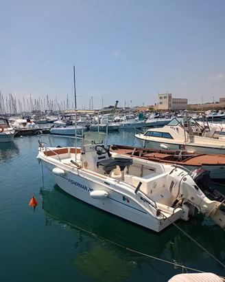 Mingolla Fisherman 20 Evinrude 90 CV Suzuki 15 CV 