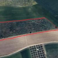 Terreno agricolo Serdiana