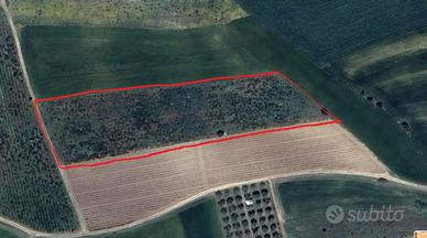 Terreno agricolo Serdiana