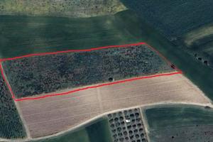 Terreno agricolo Serdiana