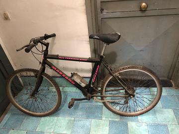 Bici Marzano