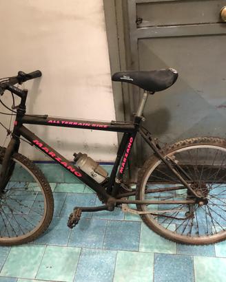 Bici Marzano