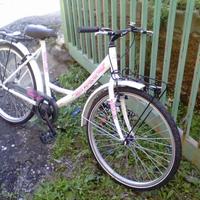 Bici da passeggio 