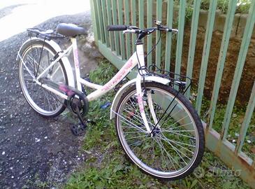 Bici da passeggio 