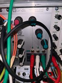 mutable instruments grids