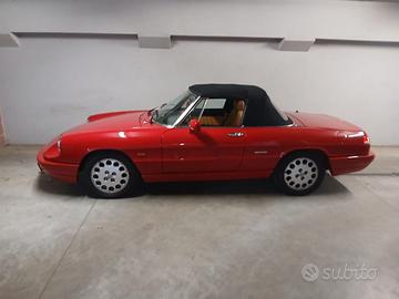 ALFA ROMEO SPIDER