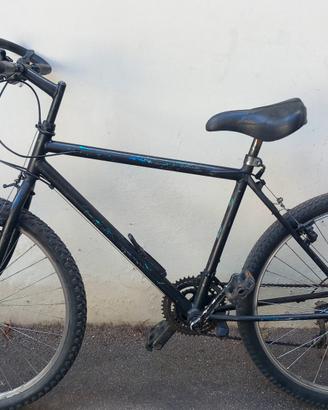 Bicicletta MOUNTAIN Bike 