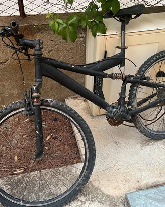 bicicletta 