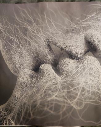 poster tela bacio