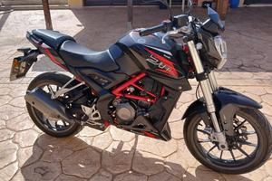 Benelli BN 251 - 2017