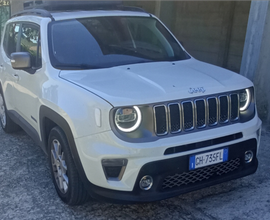 Jeep Renegade GPL