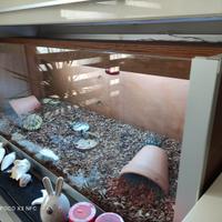 Terrario artigianale