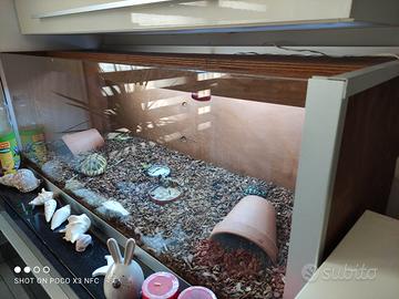 Terrario artigianale