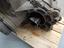 Immagine 11