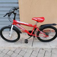 Bicicletta 20