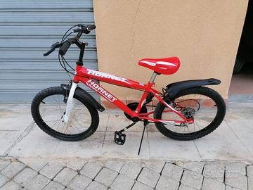 Bicicletta 20