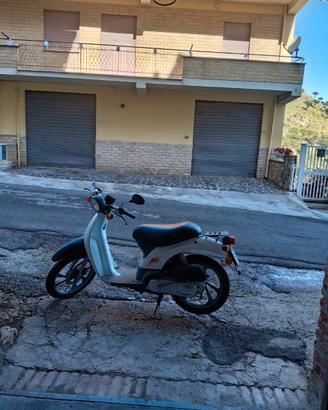 Sky Honda 50