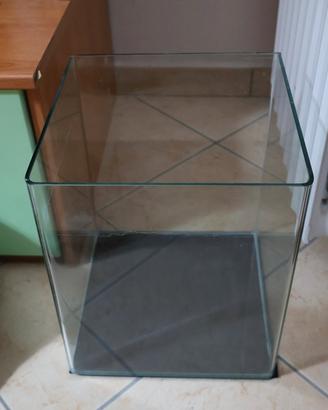 Acquario con accessori inclusi