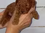 Immagine 3