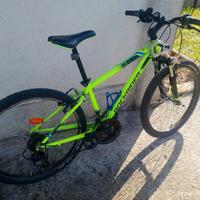 Mountain bike 