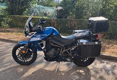 Triumph Tiger 800 pochissimi Km