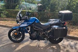 Triumph Tiger 800 pochissimi Km