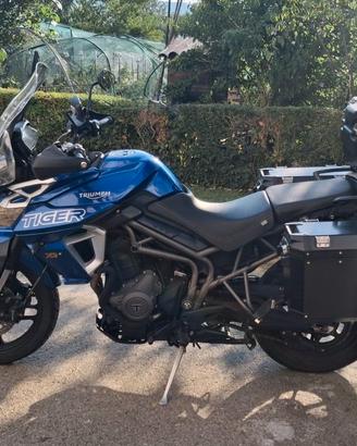 Triumph Tiger 800 pochissimi Km