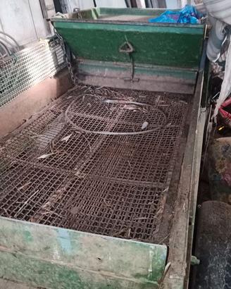 Cernitrice per olive