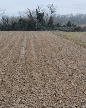 Terreno agricolo