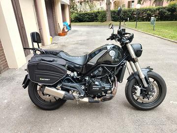 Leoncino Benelli 2021