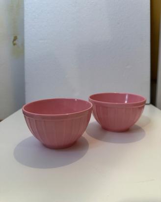Coppia ciotole rosa