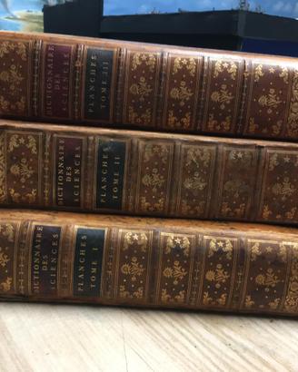 DICTIONNAIRE DES SCIENCES