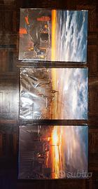 stampa su tela con cornice