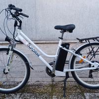 Bicicletta elettrica 