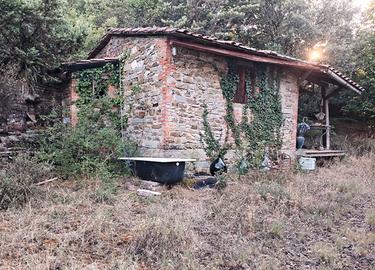 Terreno con capanno,pozzo e corrente-Ruscello (AR)