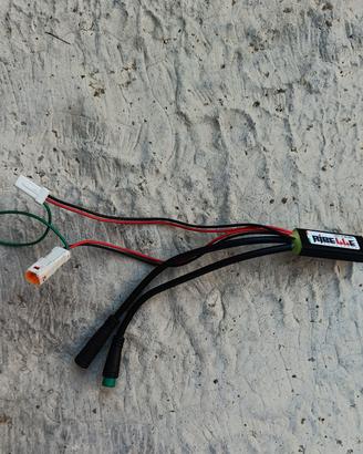 Sblocco velocità Speedfun Ribelle per Oli Sport