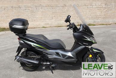 Kawasaki J300 (M1510)