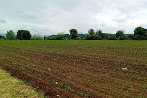 CANTU' periferia vendiamo TERRENO AGRICOLO