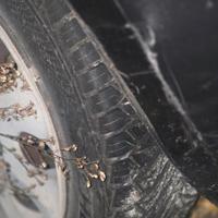 4 gomme all'80%. 4 stagioni