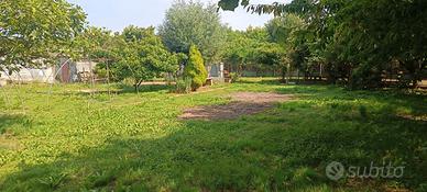 Terreno agricolo
