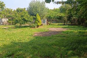 Terreno agricolo