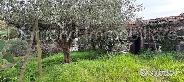 Terreno 1300 mq in parte edificabile Piedimonte - Vista 3