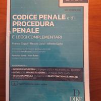 codice penale e di procedura penale 