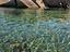 Immagine 27