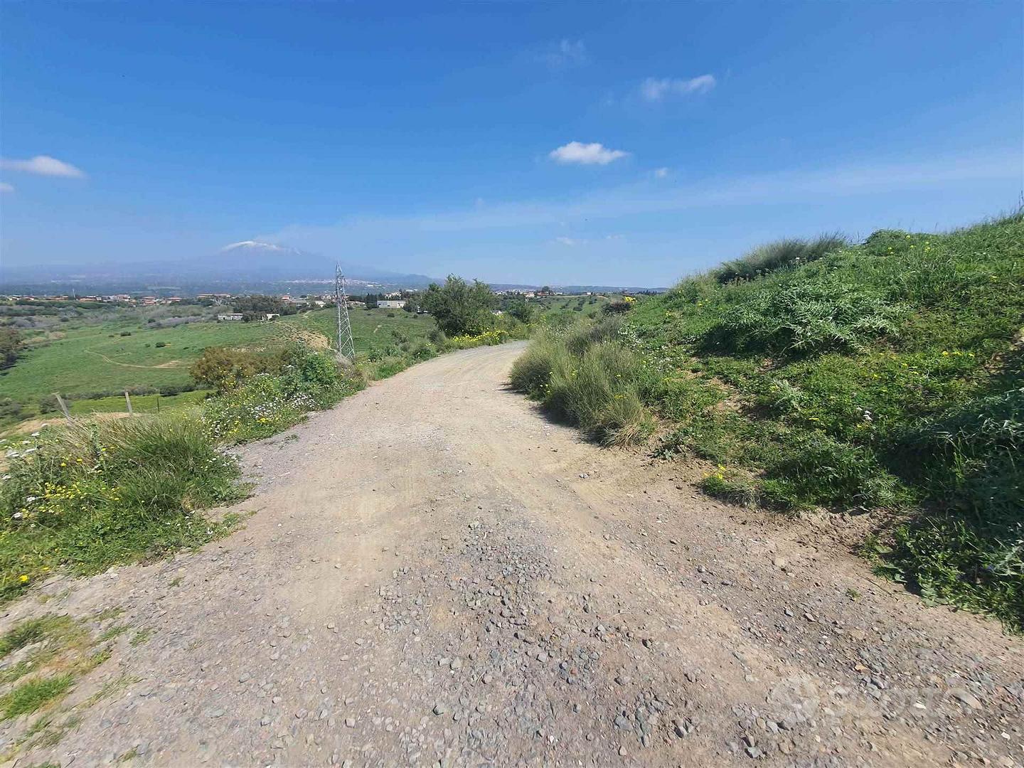 Rif.CG14| terreno agricolo motta sant'anastasia - Vista 2