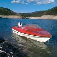 Barca 420 + Motore Evinrude 737 + Carrello